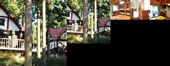 Shikinosato Kyokushi