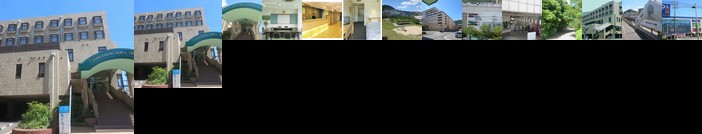 Something Hall Dolphin