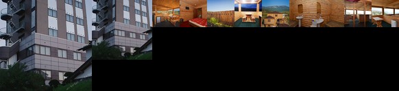 Business Hotel Turtle