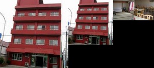 Business Hotel Swallow