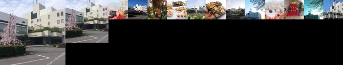 Central Hotel Kamojima