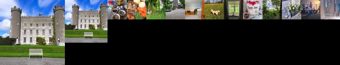 Homestay - Nellie's Cottage B&B