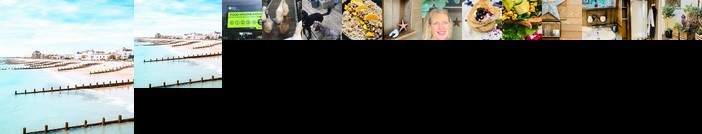 Very Nice Vegan Stays