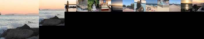 California Dreamin' Seal Beach