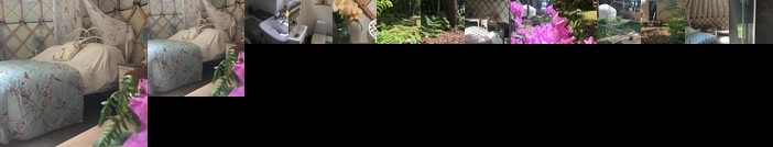 Gingerbread Cottage Yurts