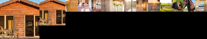 La Vie en Rose Torhout