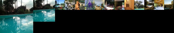 Poivre et Citronnelle