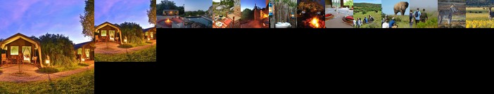 Shamwari Explorer Camp