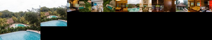 Damires Hills Tierra Verde