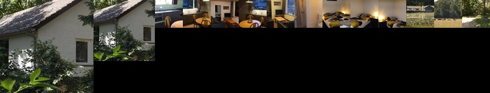 Vosseven 32 Geelgors