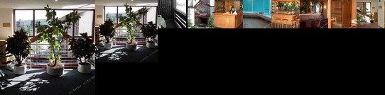 Ferienwohnung Aeschi Park