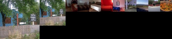 Hotes Ombres Des Oliviers