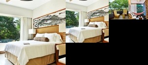 Zz Term El Mangroove