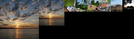 Daniela's Sonnengarten