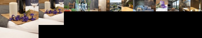 Dream Team Nordic Haven