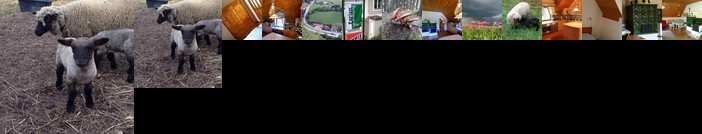 Ferienhaus Idolsberg