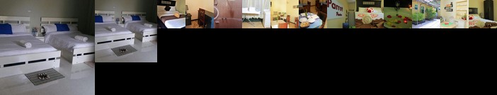 Parrot Guest House