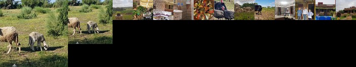 Maison La Branche D Oiseaux Settat