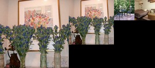 Japanese Inn SARANOKI