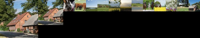 Urlaub auf dem Bauernhof Mecklenburgische Seenplatte