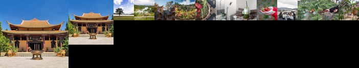 The Green Hill Dalat