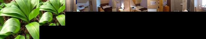 Agroturystyka U Maciejowej