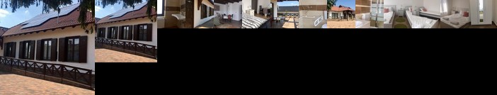 Erzsebet Vendeghaz Bekecs