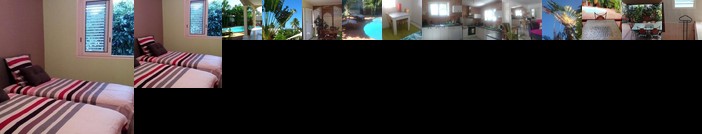 Cottage l'Arbre du Voyageur - Etang Sale les Hauts