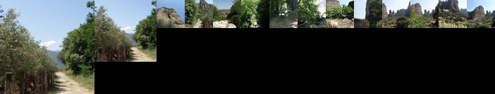 Olio Hills apartment