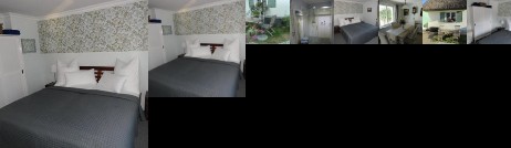 Cottage Ferienwohnung mit Seeblick