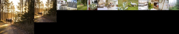 Ekologiska Fru Gran B&B i Tiveden