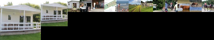 Chalets - Bungalowpark Mooyeveld - Uniek gelegen in de duinen