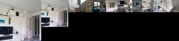 Estudio En Puerto De Navacerrada