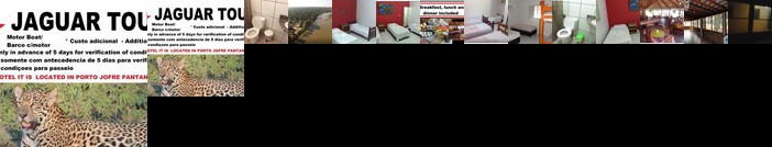 Ocelotnatur Em Porto Jofre