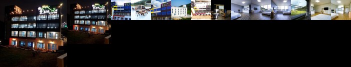 Flora Hostel Pension