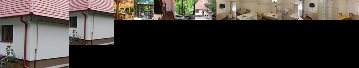 Borostyan Panzio Felsotarkany