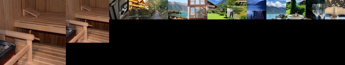 A luxurious apartment in a swiss chalet