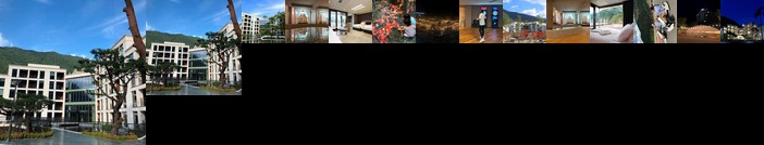 Pine Forest Jeongseon Alpine Resort