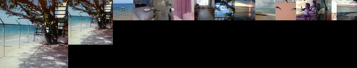 Blue Whales Beach Apartments