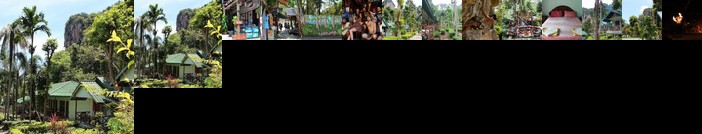 Chill Out Jungle Bungalows