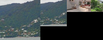 Bush House Lower Hutt