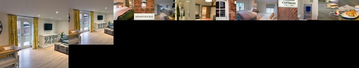 Drift House Honeysuckle