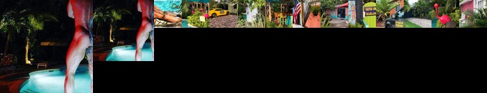 Calypso Inn Wilton Gay Male Resort