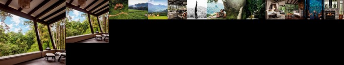 One&Only Nyungwe House