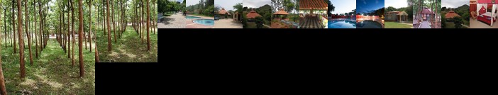 MC Resort Wildlife Resort Bandipur