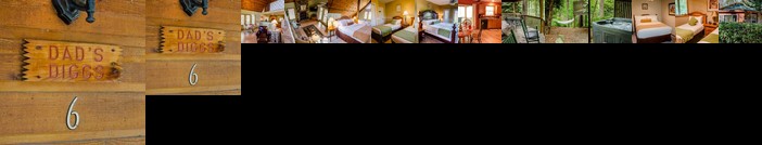 Asheville Cabins of Willow Winds