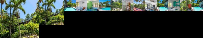 Rain-forest Apartment