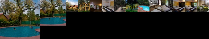 MPT Kiplig's Court Pench