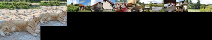 Wypoczynek Kocia Gora