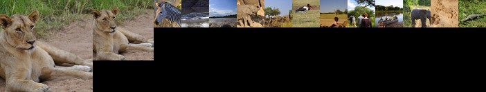 Chikunto Safari Lodge